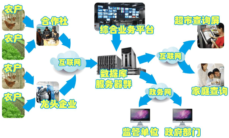 建設農產品溯源系統的目的與信息技術咨詢服務的角色